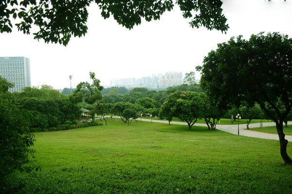 江西公園草皮