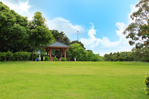 景德鎮公園一角