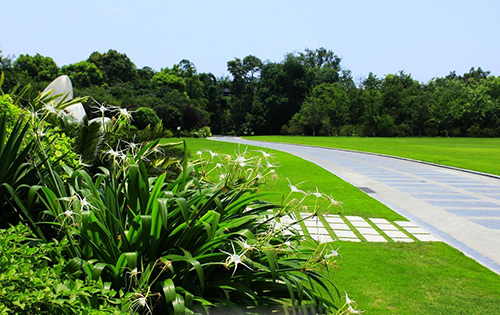 江西公園一角